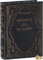 Михневич Вл. Петербург весь на ладони