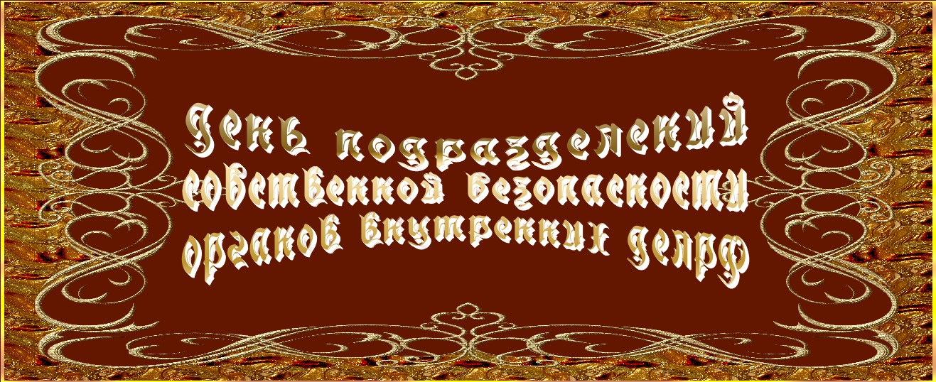 День подразделений собственной безопасности органов внутренних дел РФ