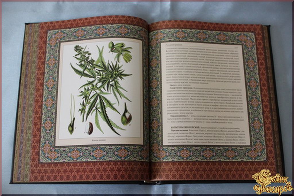 Аудиокнига полностью травник. Травник средневековый гербарий. Старинный травник. Книга о травах старинная. Книжка травник.